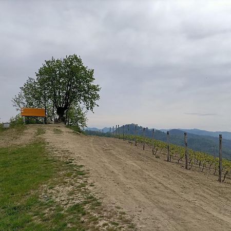 Monferrato Bed&Bike Ξενοδοχείο Murisengo Εξωτερικό φωτογραφία