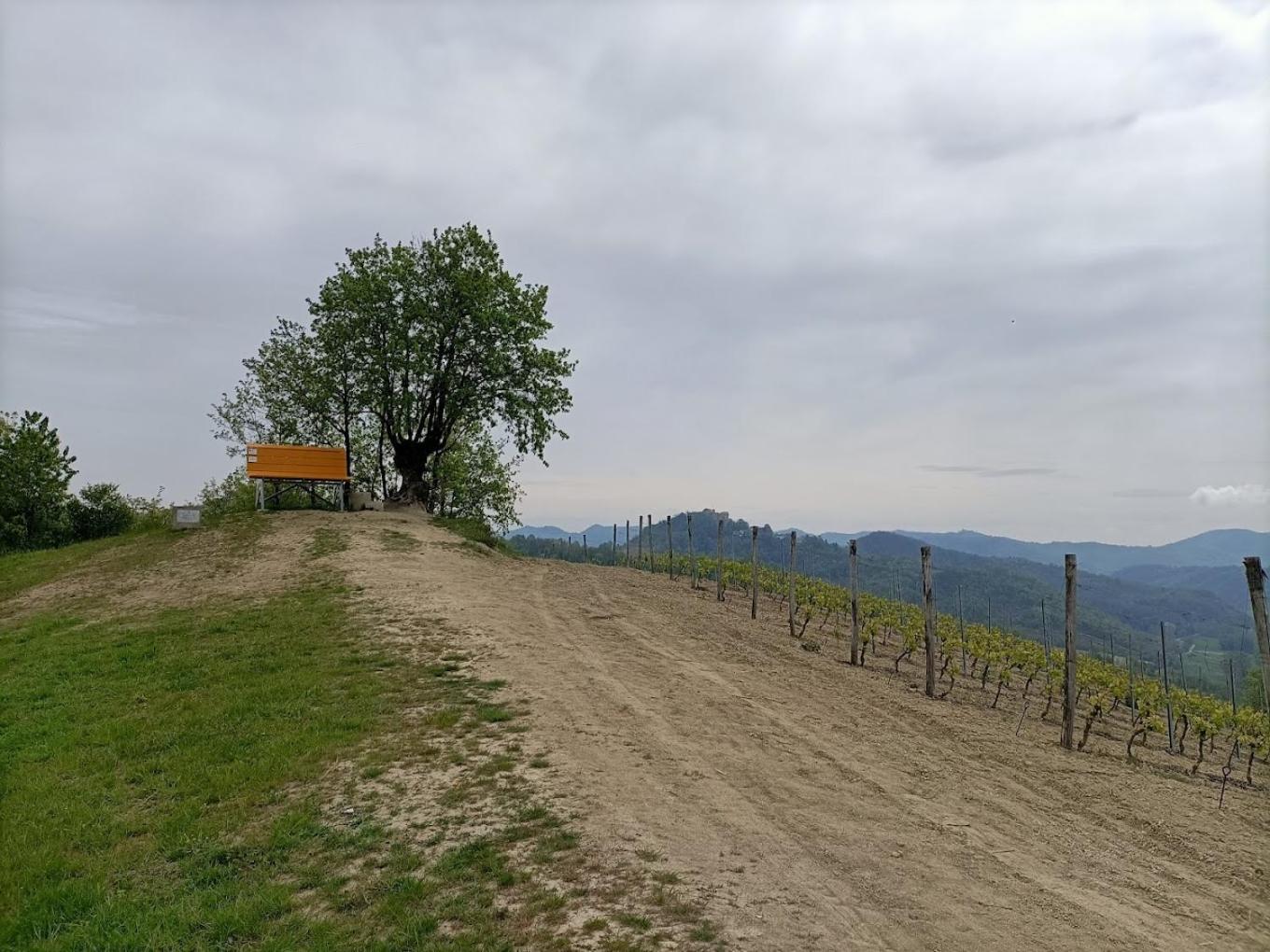 Monferrato Bed&Bike Ξενοδοχείο Murisengo Εξωτερικό φωτογραφία